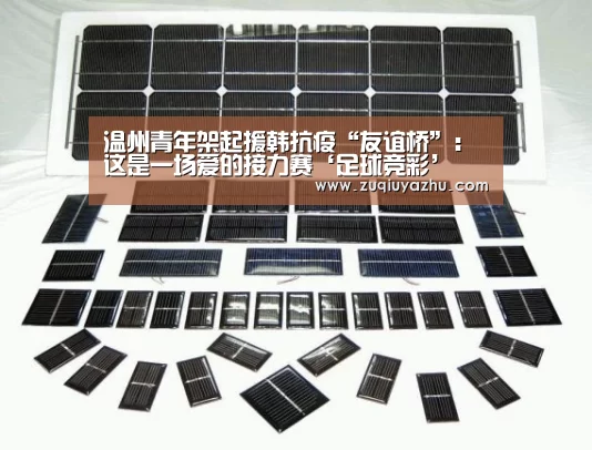 温州青年架起援韩抗疫“友谊桥”:这是一场爱的接力赛‘足球竞彩’(图3) 足球压住正规平台